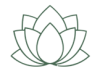 lotus 2 small